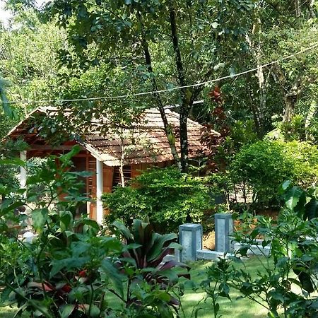 Leisure Vacations Whispering Woods 호텔 마디케리 외부 사진